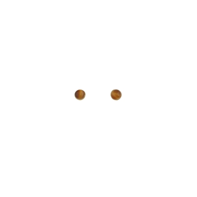 Nyx Tiger's eye stud earrings